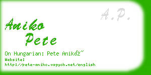 aniko pete business card